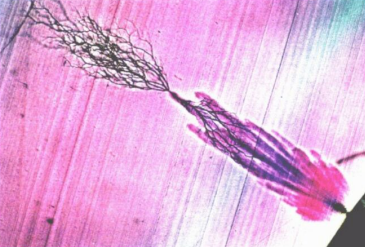 HVA45TD,<a href='http://m.tjjxsd56.com/Ppzq/b2.html'>B2HV</a>